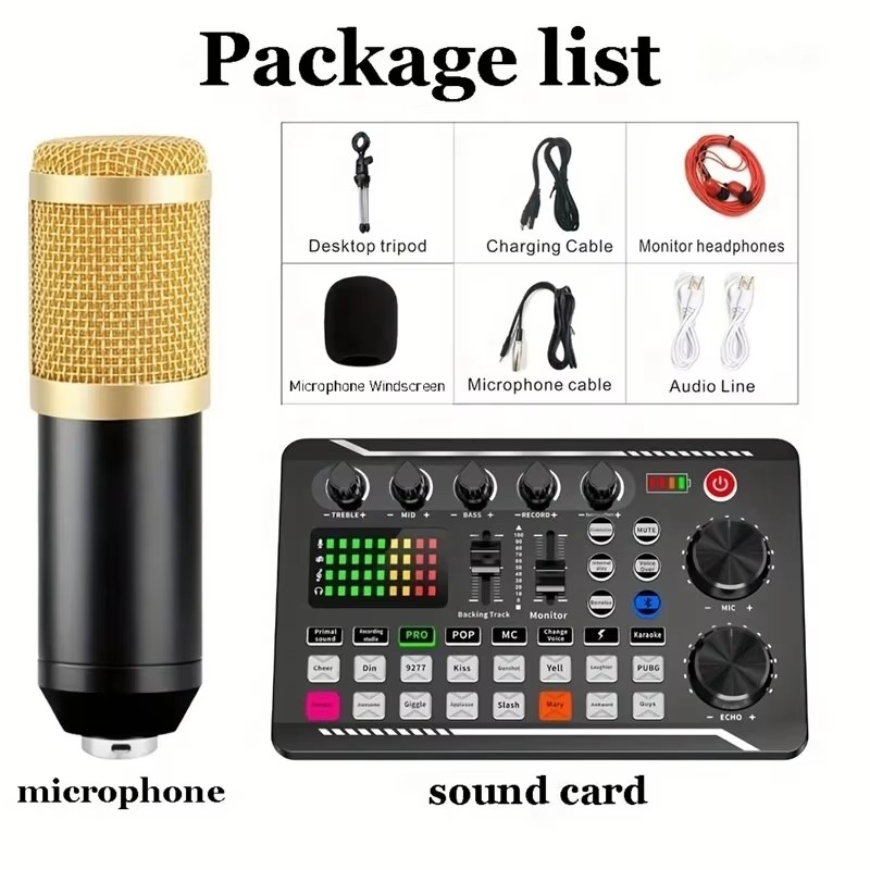 Condenser Microphone Professio - Audio Music Changer ulasan dan harga